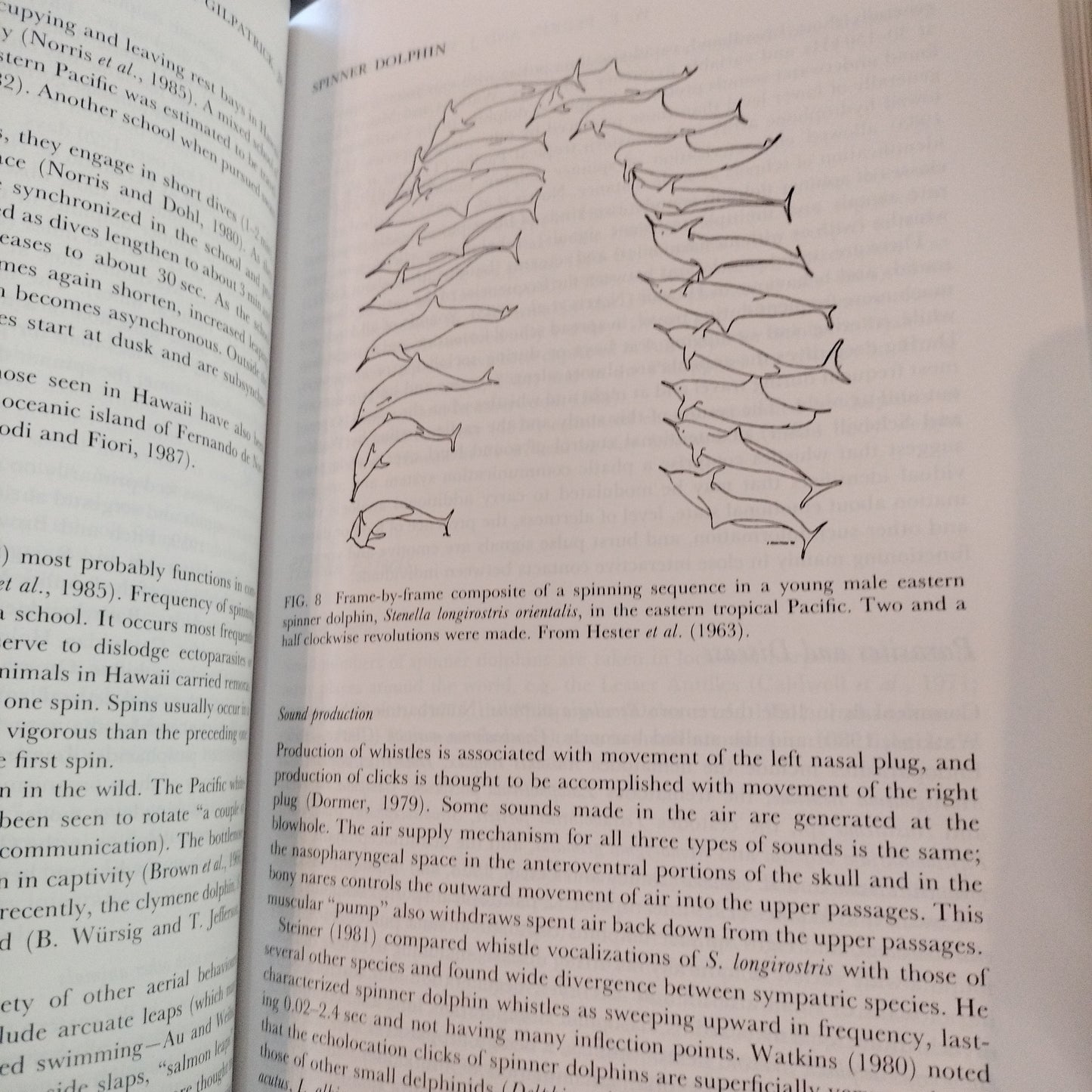 Handbook of Marine Mammals edited by Sam H. Ridgway and Sir Richard Harrison. First edition. Vol 5 The First Book of Dolphins.