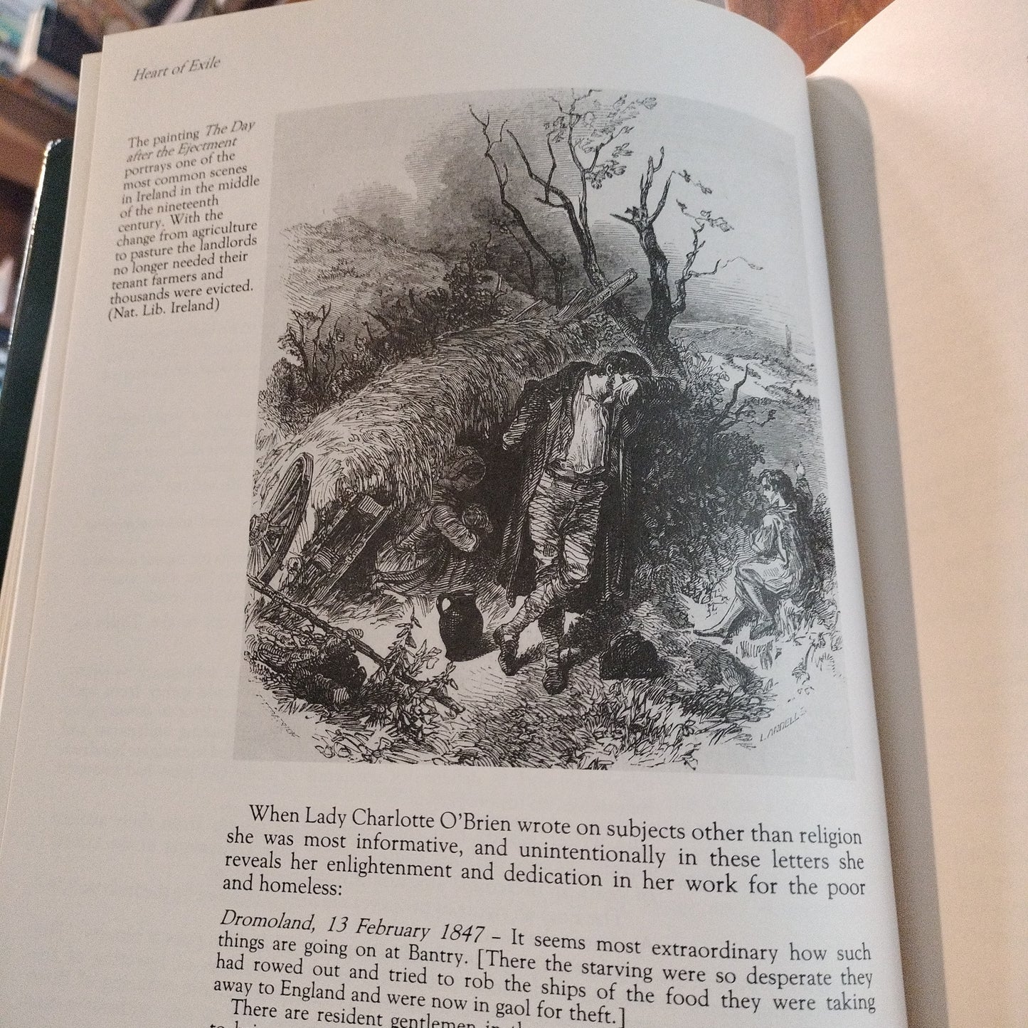 Heart of Exile. Ireland, 1848